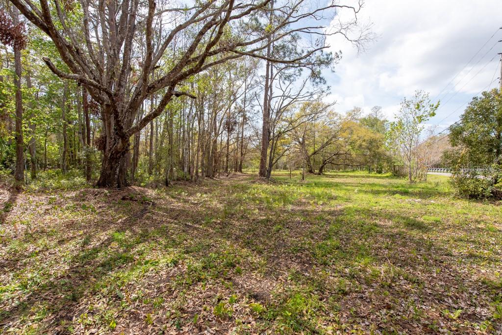 331 APPALOOSA ROAD