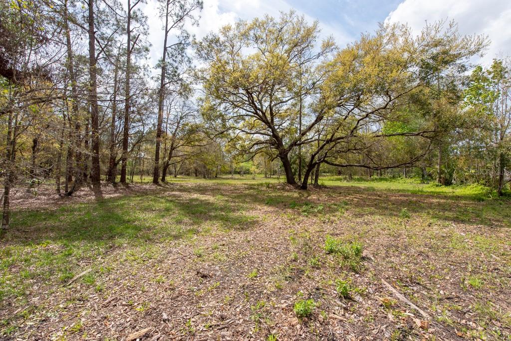 331 APPALOOSA ROAD