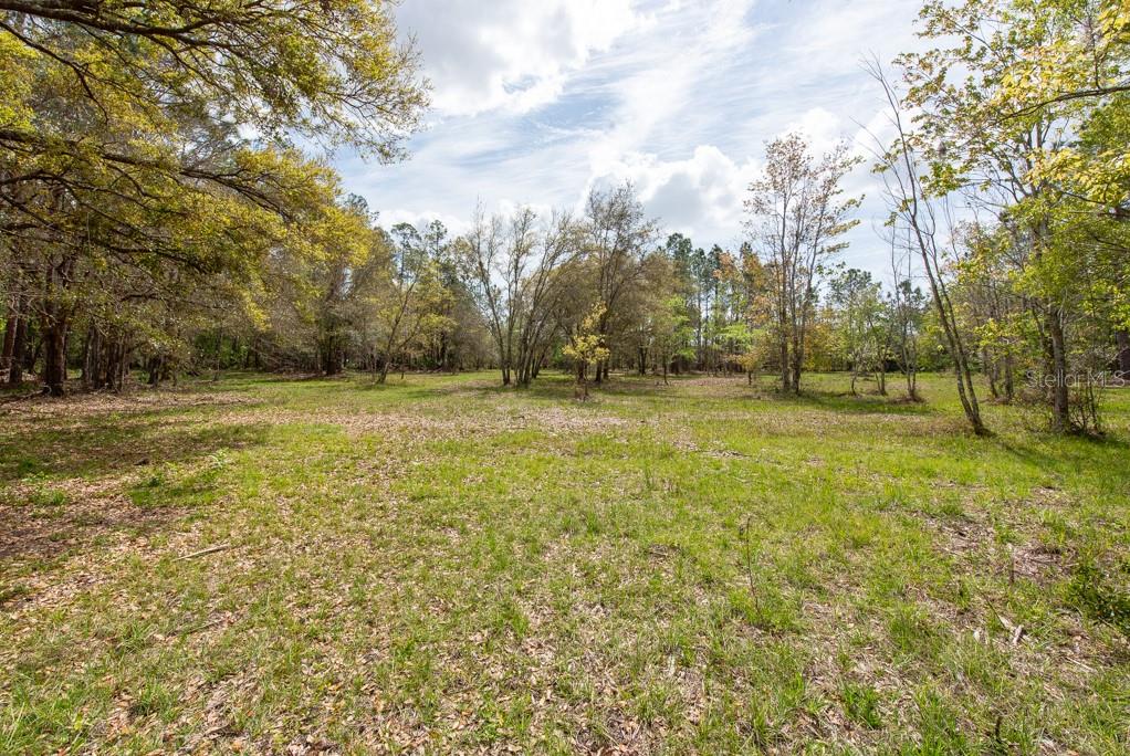 331 APPALOOSA ROAD