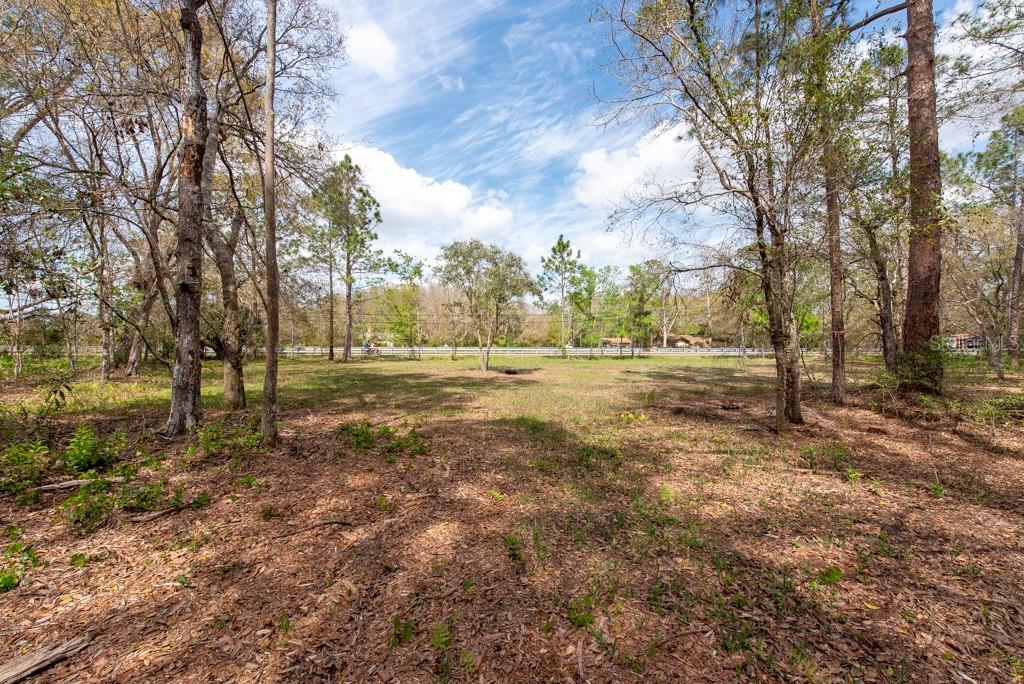 331 APPALOOSA ROAD