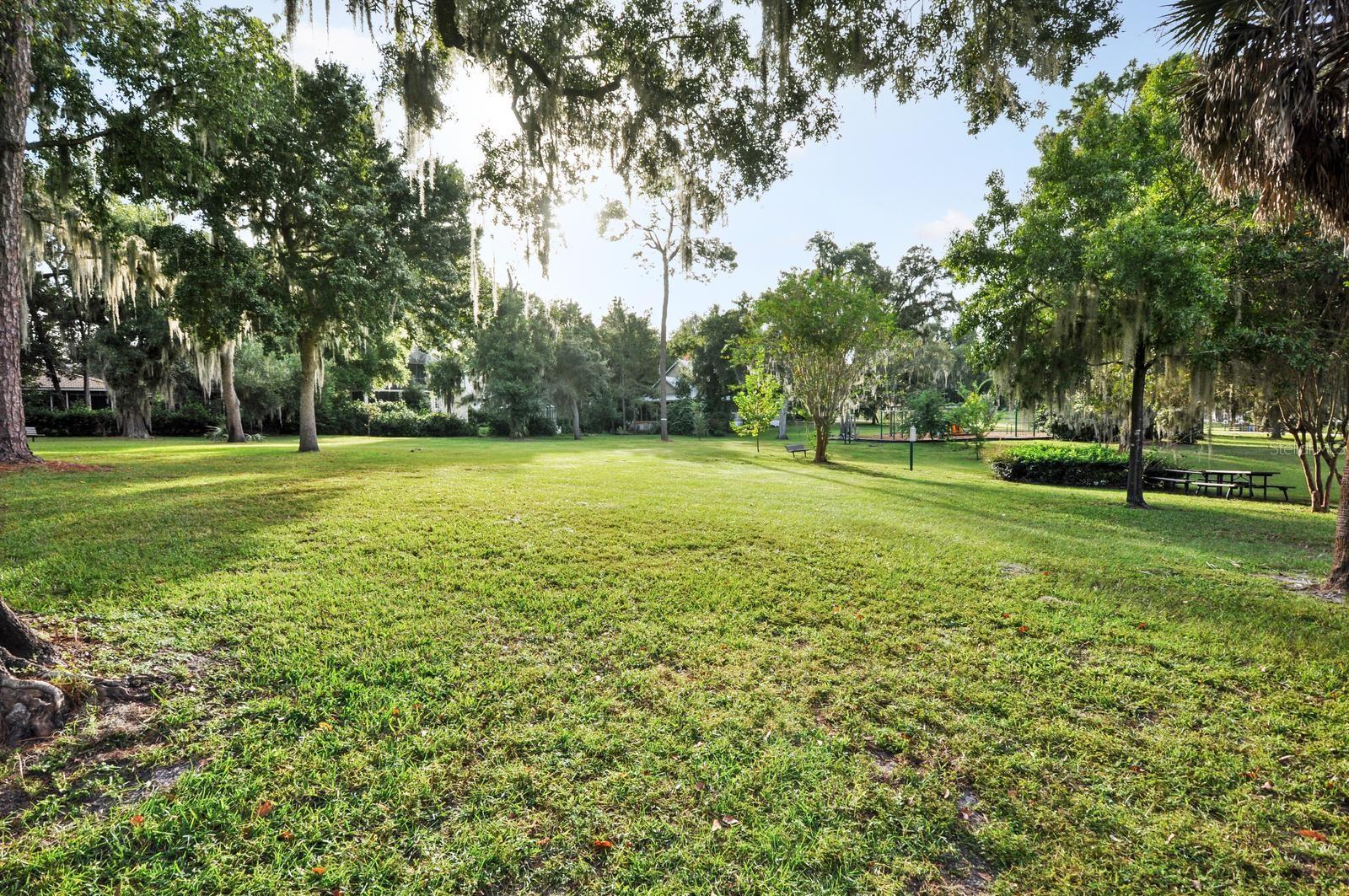 WINDERMERE TOWN - Residential