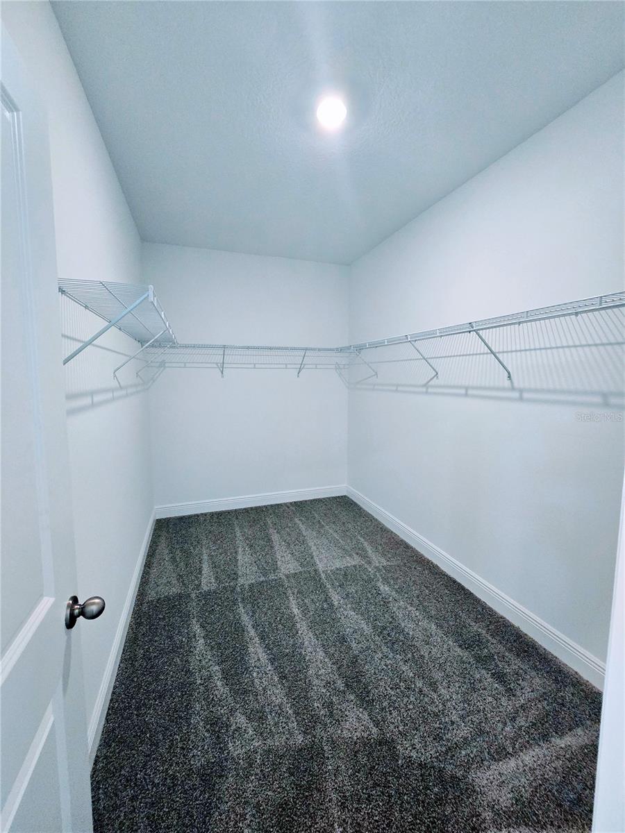 CYERENE AT MINNEOLA - Residential Lease