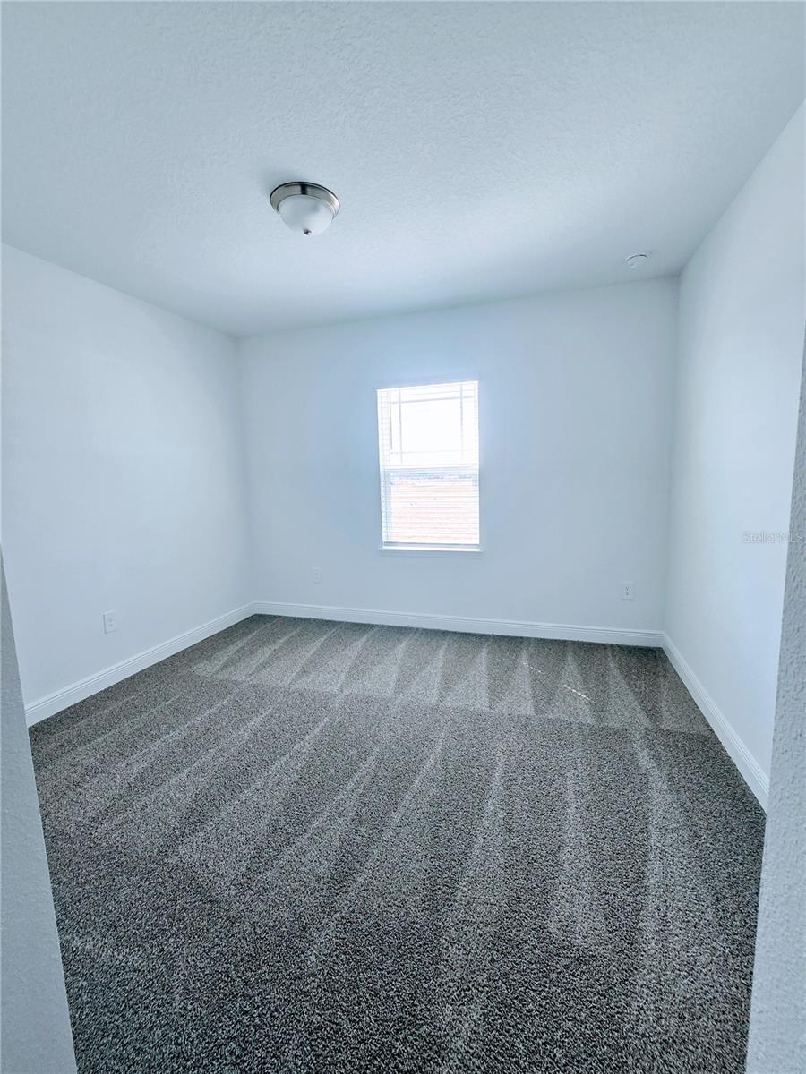 CYERENE AT MINNEOLA - Residential Lease