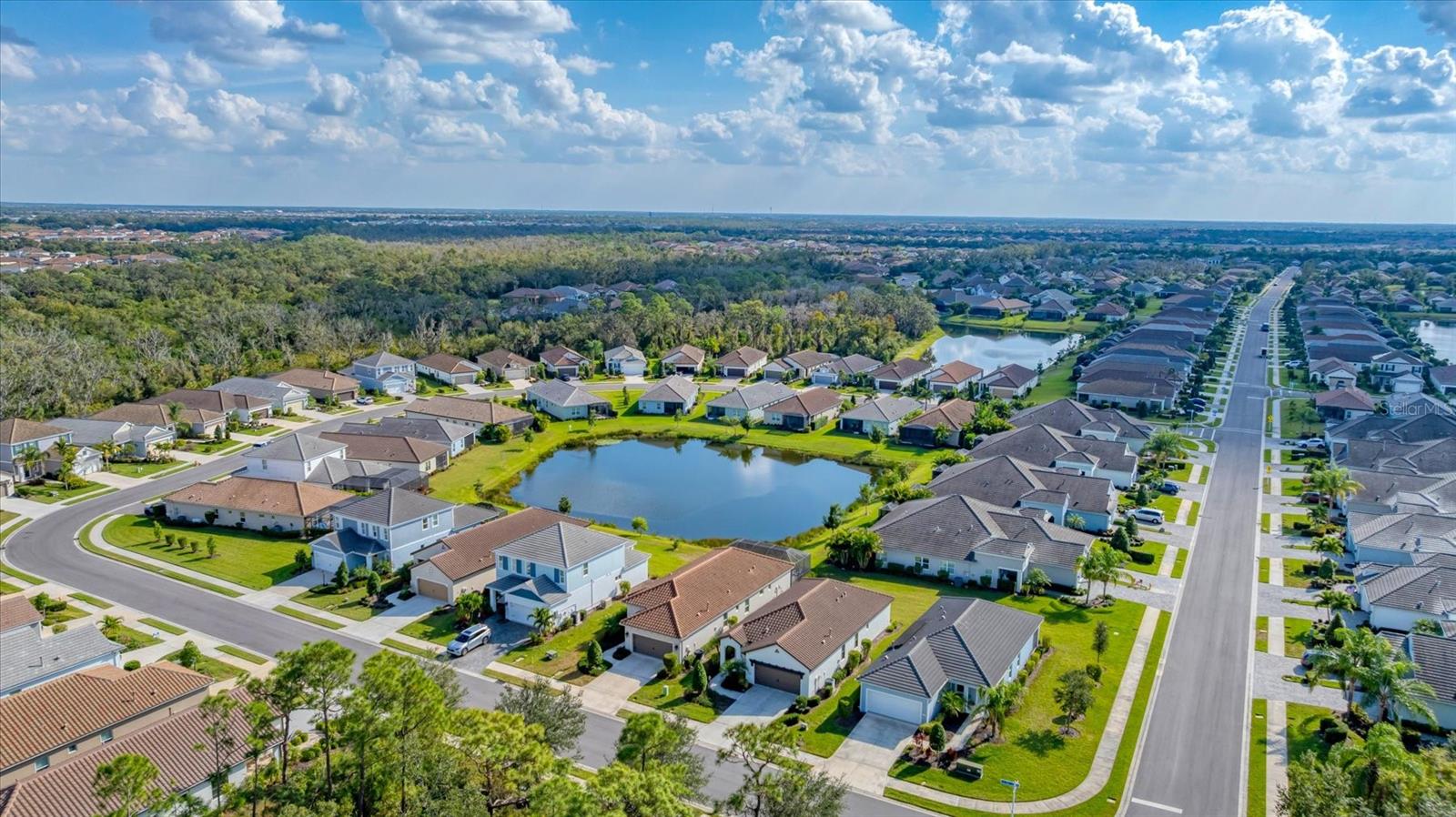 12949 TRUE BLUE CIRCLE