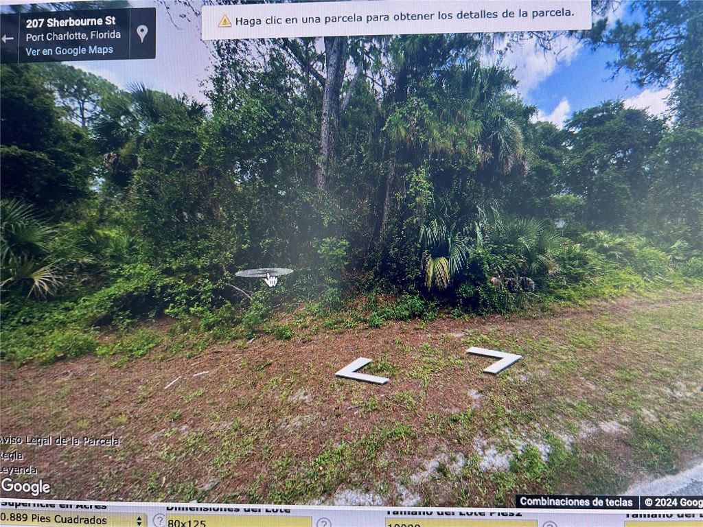 Photo of 206 Sherbourne Street, Port Charlotte, FL 33954 (MLS # TB8476477)