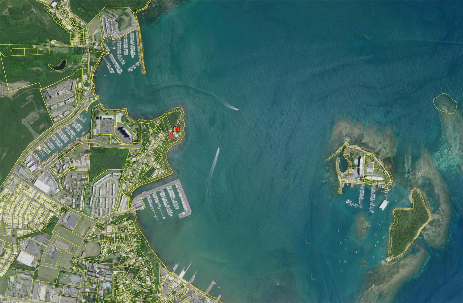 111 FIDENCIO DE JESUS