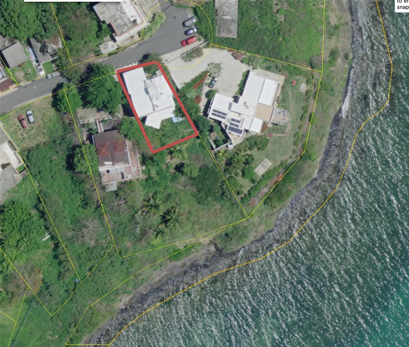 111 FIDENCIO DE JESUS