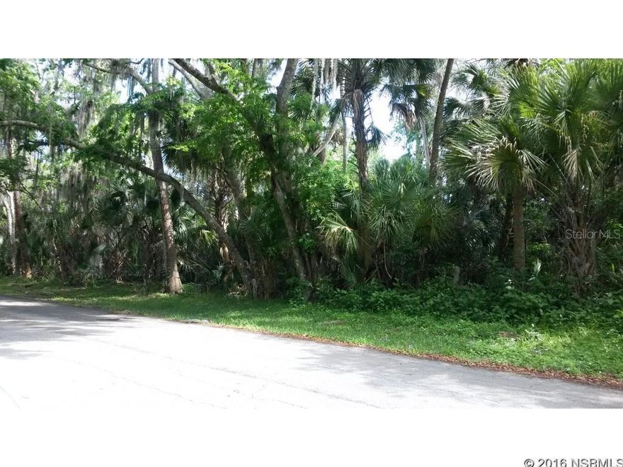 GREAT INVESTMENT PROPERTY! PARCEL IS 4 LOTS. DIVIDE AND BUILD 2 HOMES. FRONTAGE IS 160 FEET ON MANGO TREE AND 100 FEET ON 30TH STREET.; Cleared: No ;Water: Available at Site