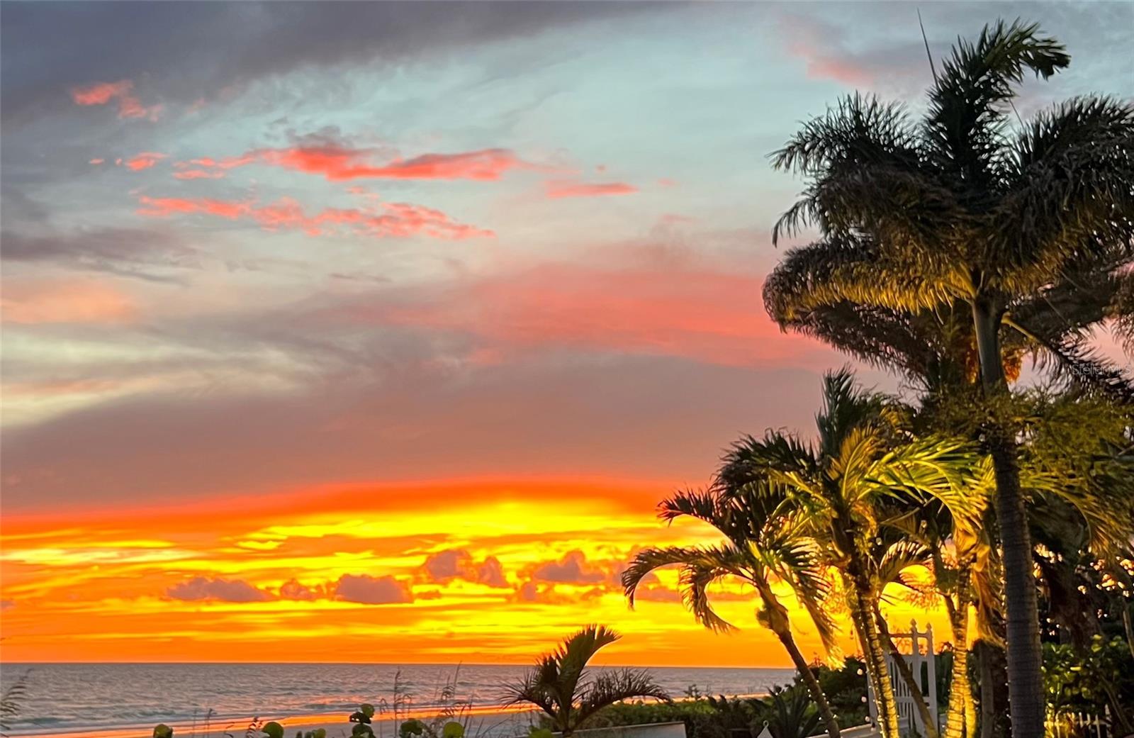 LONE PALM BEACH 1ST ADD - Residential