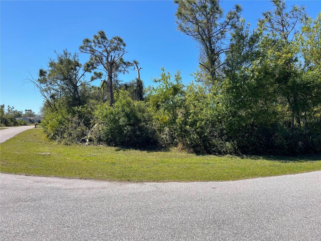 Photo of 12353 Evelyn Avenue, Port Charlotte, FL 33981 (MLS # D6141348)