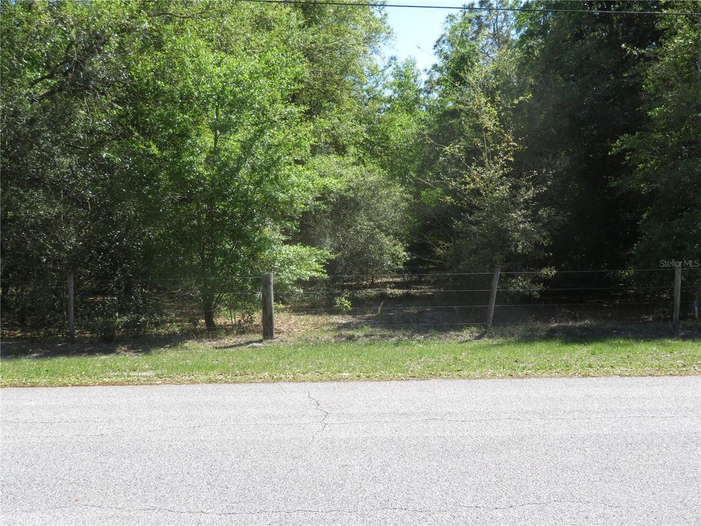 Photo of Florida Avenue, San Antonio, FL 33576 (MLS # TB8563235)