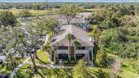 A home in PALM HARBOR