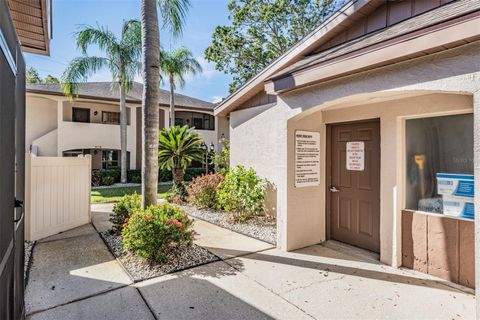 A home in PALM HARBOR