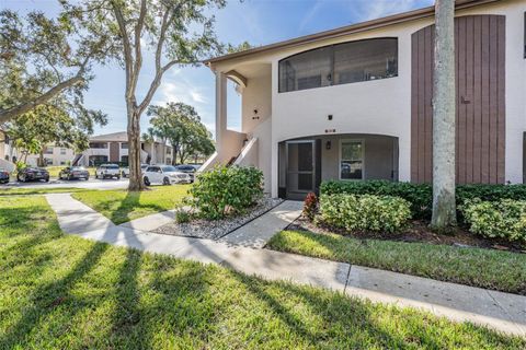 A home in PALM HARBOR