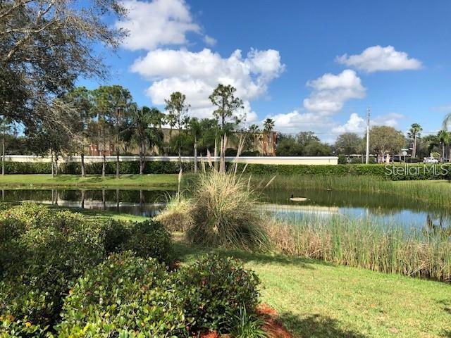 SERENADE ON PALMER RANCH - Residential