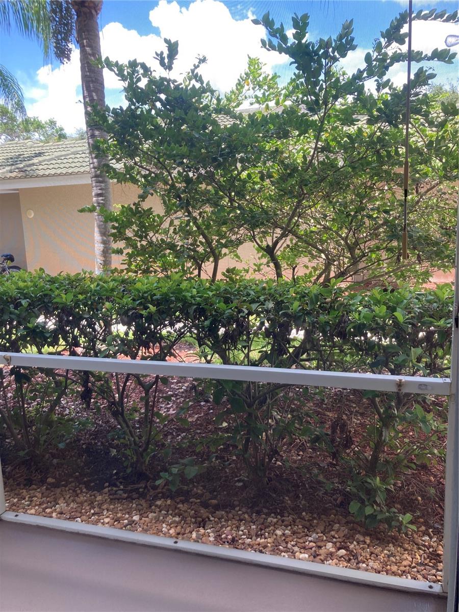 SERENADE ON PALMER RANCH - Residential