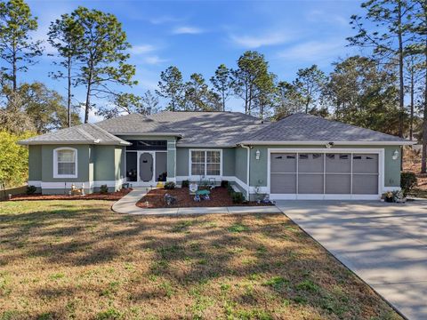 Photo of 9131 N Alpinia Drive, Citrus Springs, FL 34434 (MLS # TB8480194)