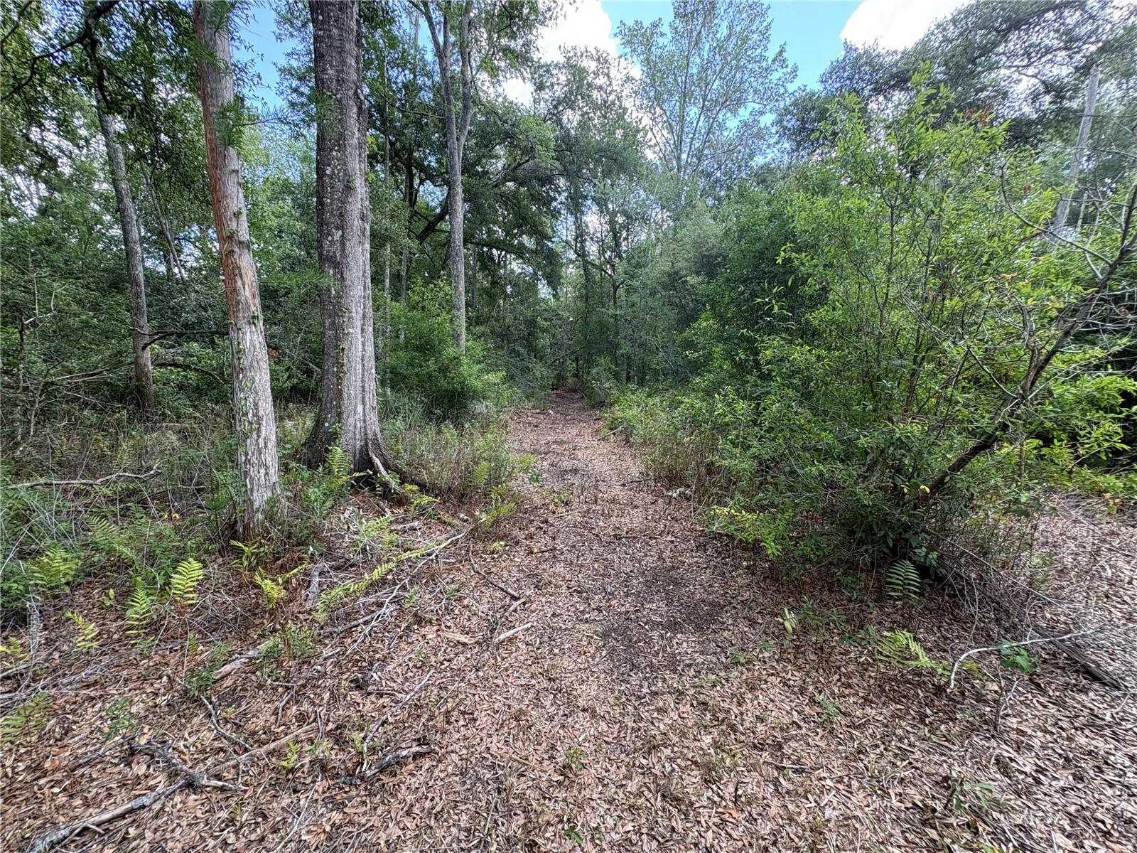 RANCHLAND ACRES - Residential