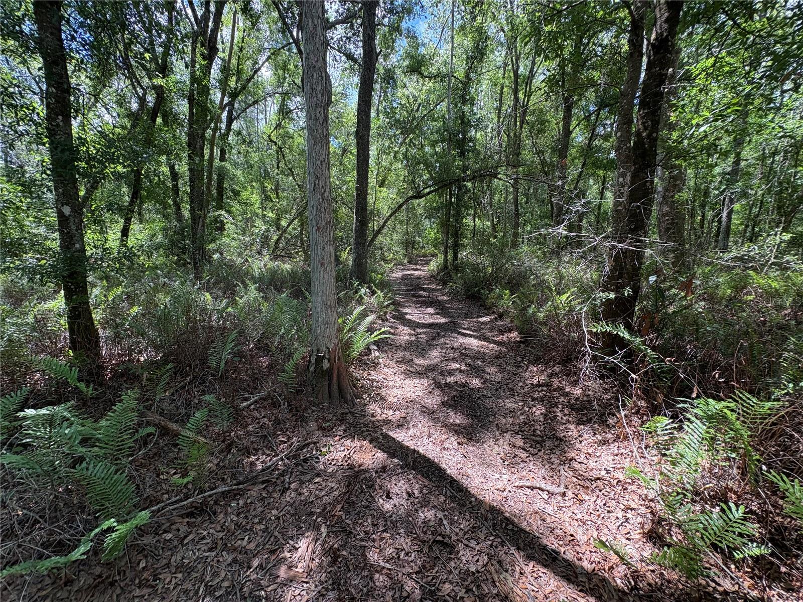 RANCHLAND ACRES - Residential