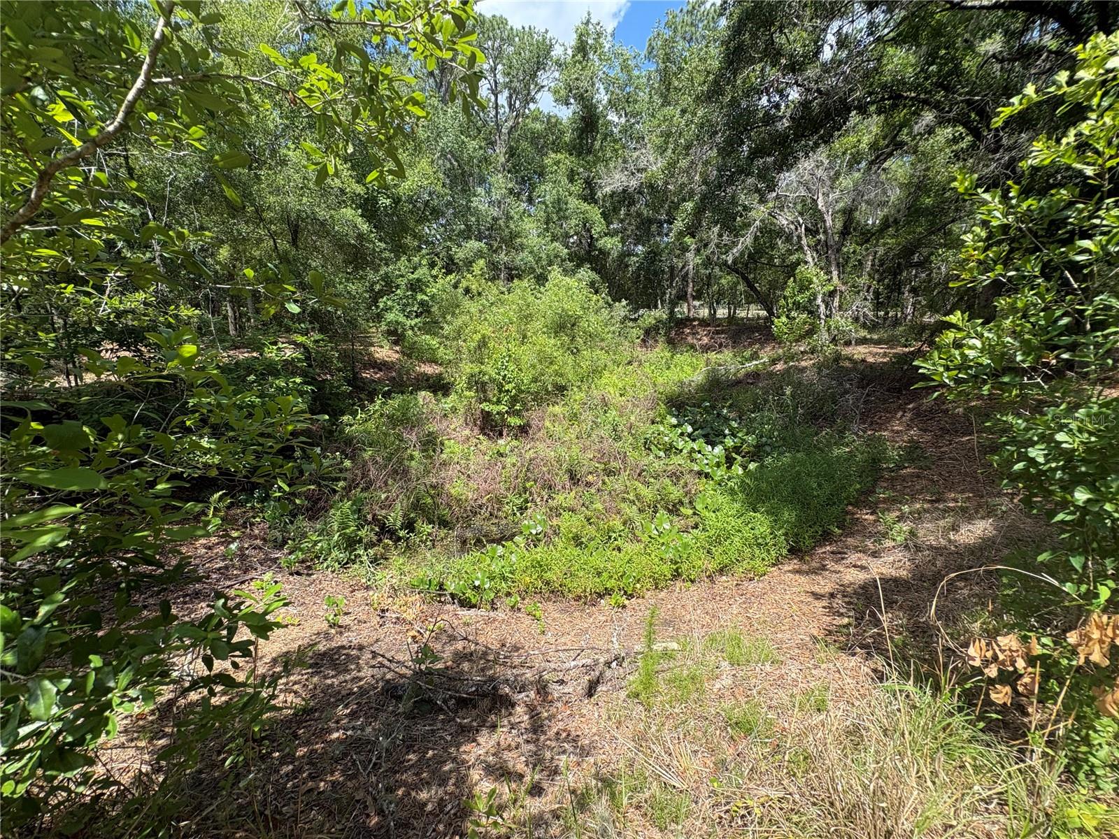 RANCHLAND ACRES - Residential
