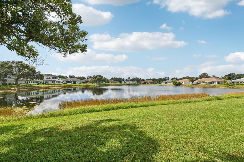 Photo of 2218 Olive Branch Drive, Sun City Center, FL 33573 (MLS # TB8427806)