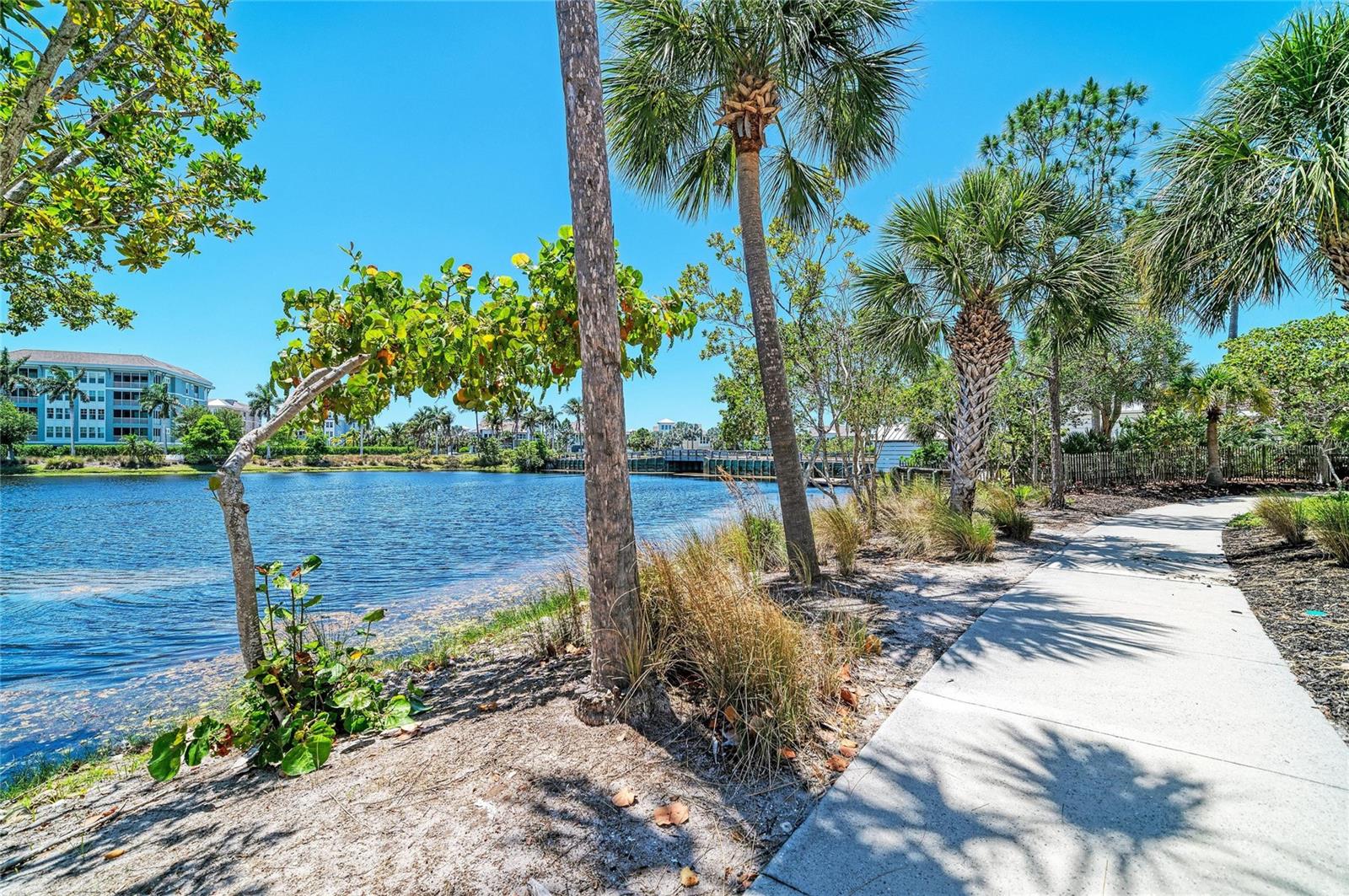 HARBOUR ISLE - MANGROVE WALK - Residential