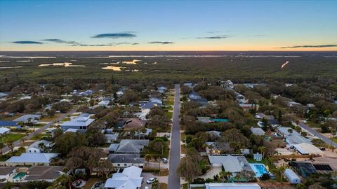 A home in NEW SMYRNA BEACH