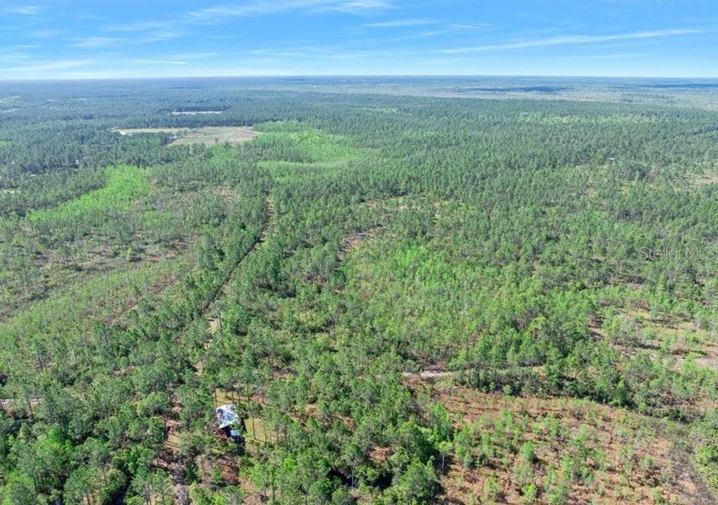 Photo of 0 Carter Street, Bunnell, FL 32110 (MLS # FC319687)