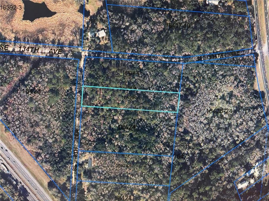 Photo of 13607 SE 8th Terrace, Micanopy, FL 32667 (MLS # OM724133)