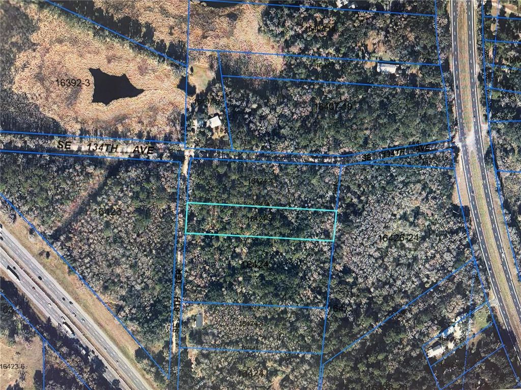 Photo of 13607 SE 8th Terrace, Micanopy, FL 32667 (MLS # OM724133)