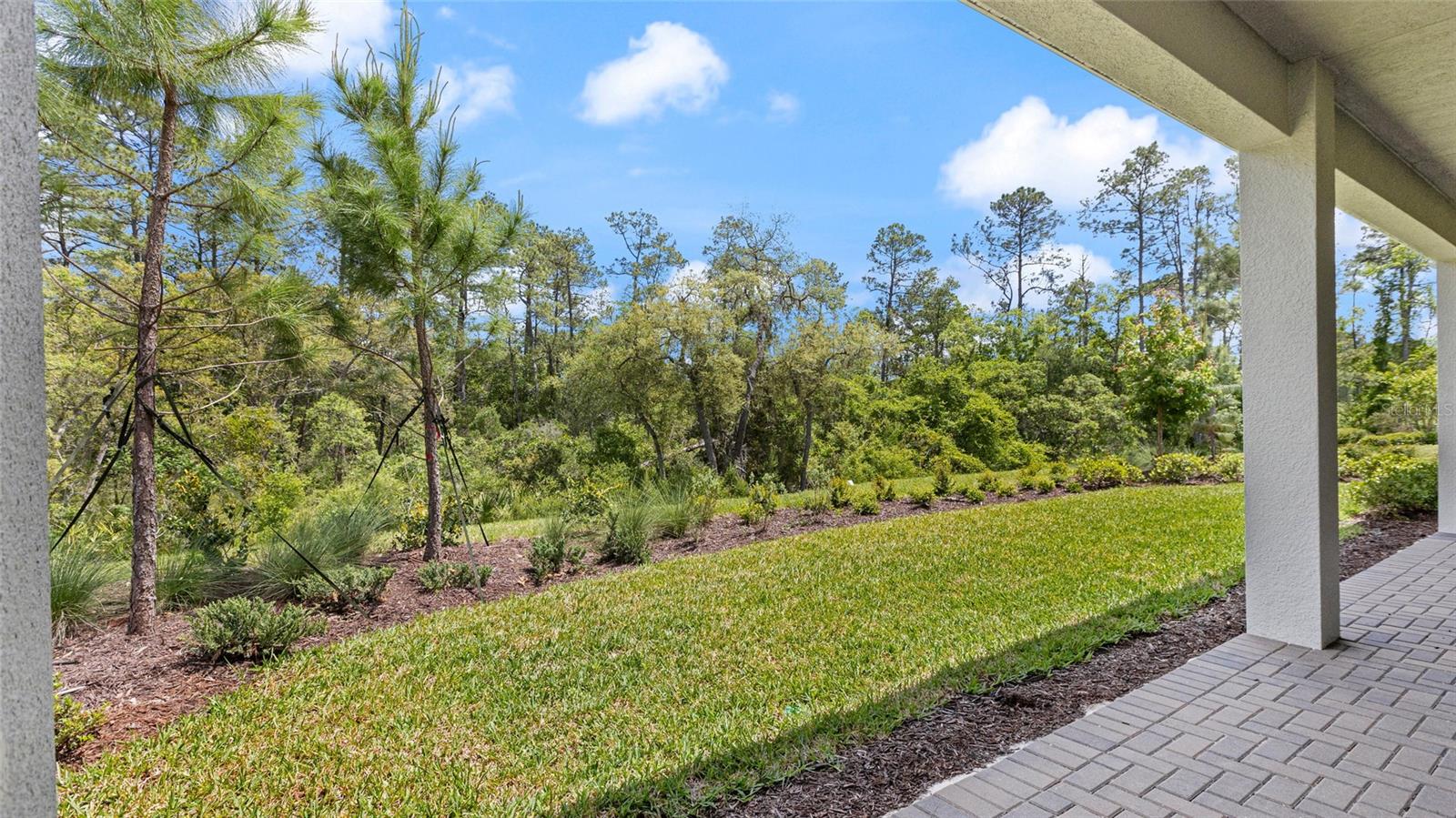 CRESSWIND DELAND - Residential