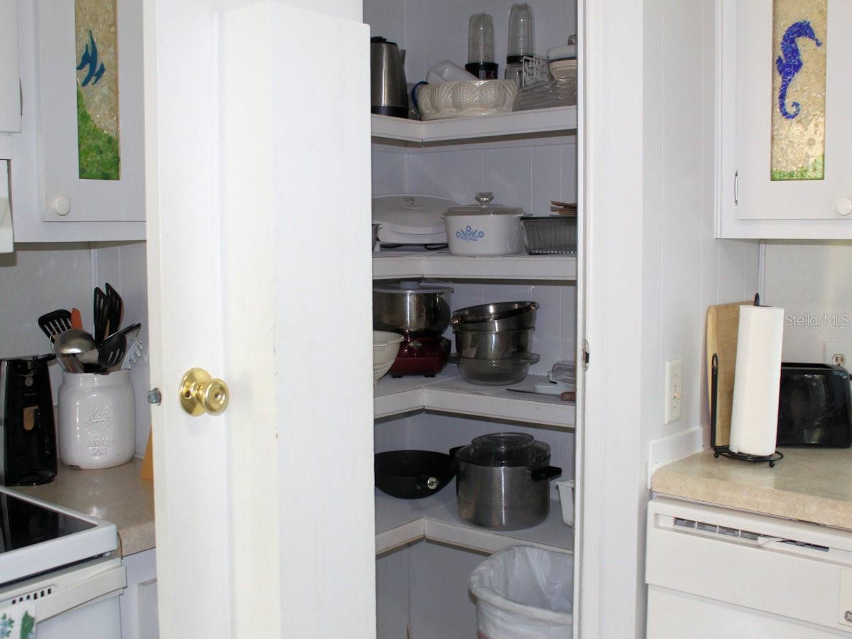 47 THATCH PALM STREET W