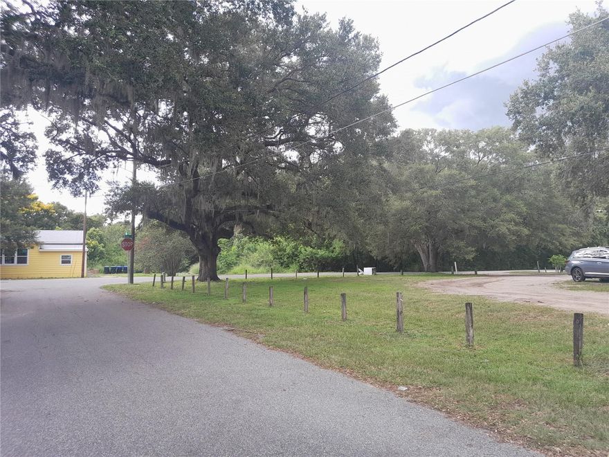 Great Opportunity to purchase a completely cleared vacant lot in the heart of Winter Garden. This Corner Lot is already sitting on two separate lots (16 & 17) with one Parcel ID. Therefore, it should be allowed to split into two different Parcels with Orange County; officially making it two buildable lots. Surveyor said lot split should work and Buyers interested in splitting would need to do a Survey showing two different lots and request official lot split with Orange County on lots already separated. BIG PLUS!! Survey Available. Easy access right off Astrolyn Street where there is approximately 200 Ft. frontage. GREAT LOCATION just minutes from the amazing Downtown Winter Garden area that offers a number of original restaurants, shops and night life. Let's not forget the West Orange Trail, Kid's Splash Park and renown weekly Farmers Market. Literally take Avalon across Colonial and you RUN INTO Downtown Winter Garden. It's That Close! IN ADDITION there is an incredible recreation facility coming called the Tucker Ranch Wellness Park set to be built right up the street THIS YEAR! Look it up online - it's awesome and supposed to have community garden. In the meantime, this park is currently Tucker Ranch Recreation & Nature Facility that has playground, picnic tables, huge area to walk pets and hiking trail. All walking or biking distance from this lot. This property is located on street just off West Colonial with quick access to the 429, Turnpike, 408, 441 and I-4. Numerous shopping plazas and Orlando Health Hospital off 50 close by. Perfect time to buy this lot now before Tucker Ranch Wellness Park opens as home values in area will likely rise substantially once this Community Gem is complete. Please check internet for more information on this fabulous facility opening THIS YEAR that has partnered with West Orange Health District to build a state of the art Wellness Park. This will be a fabulous addition to the community! Feel free to drive by and check the property out while being respectful to neighbors. Lots of potential. Especially if you can make one lot into two! Nice small homes on Astrolyn next to this lot and vacant area across street could bring others.