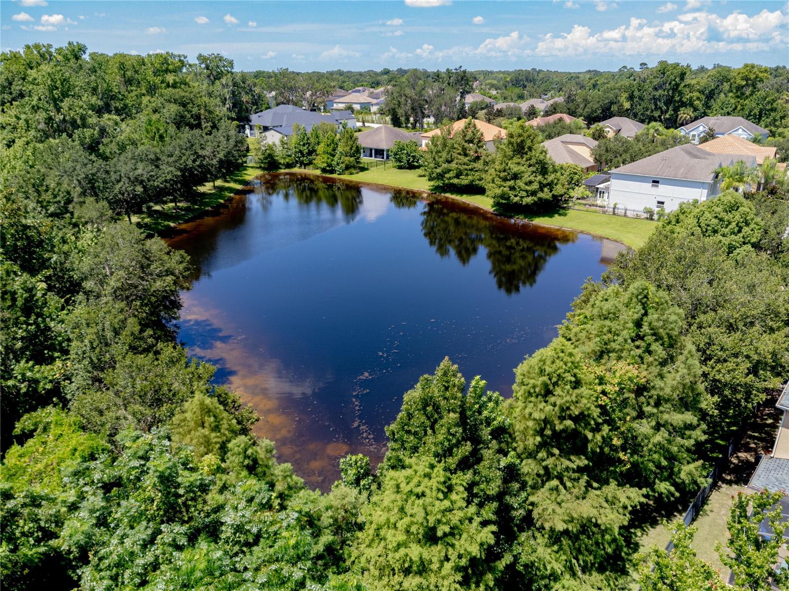 HAMMOCK RESERVE - Residential