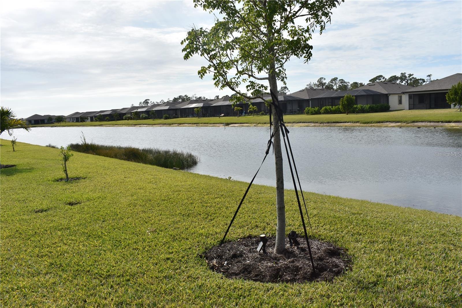 BISCAYNE LNDG II - Residential