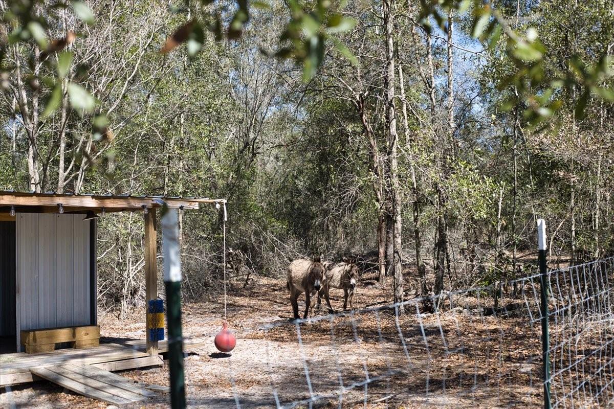 TUSTENUGEE TRACE SUB - Residential