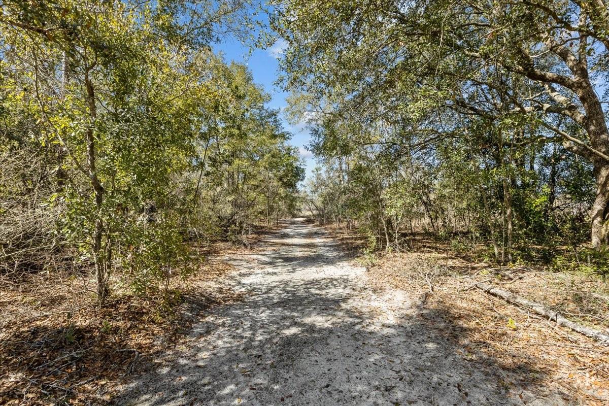 TUSTENUGEE TRACE SUB - Residential