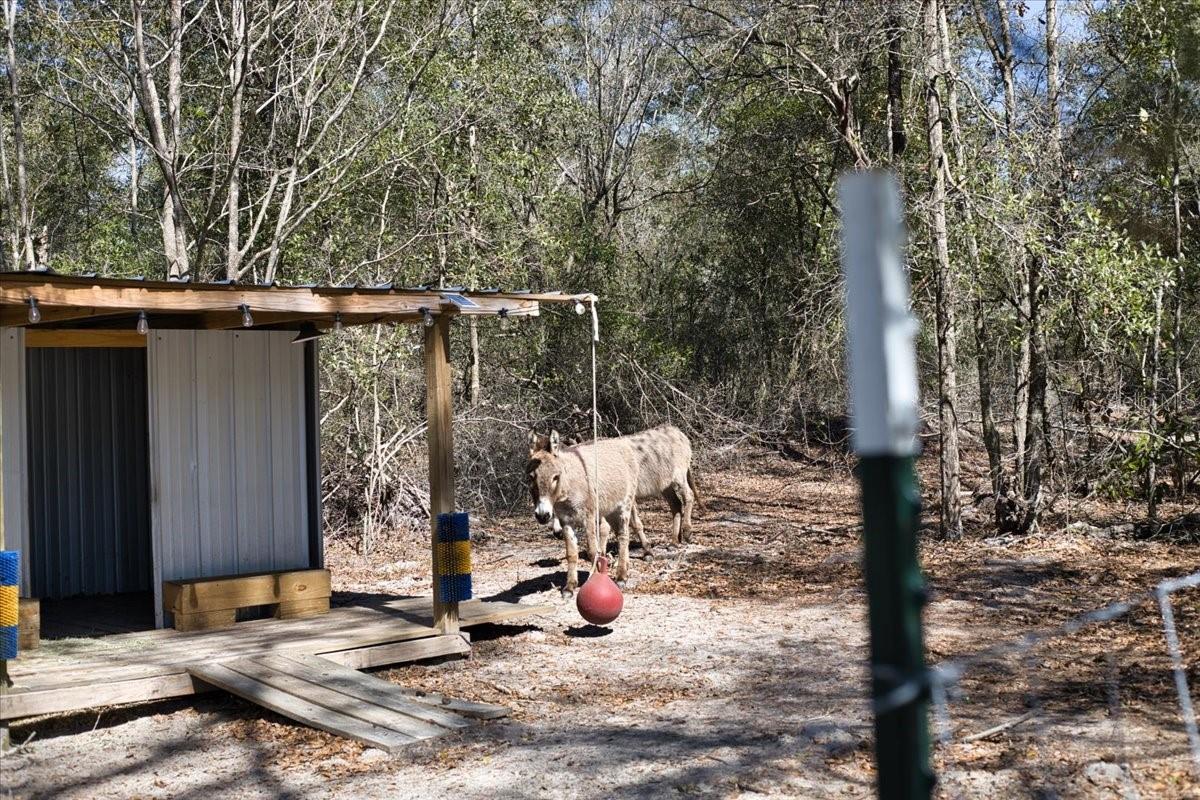 TUSTENUGEE TRACE SUB - Residential