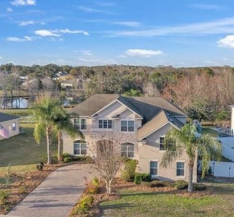 3463 CREEK RUN LANE EUSTIS FL 32736