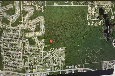 MORGAN PAPER STREET DELTONA FL 32725
