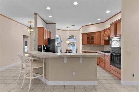 Tiny photo for 758 Moore Terrace, The Villages, FL 32162 (MLS # G5107698)