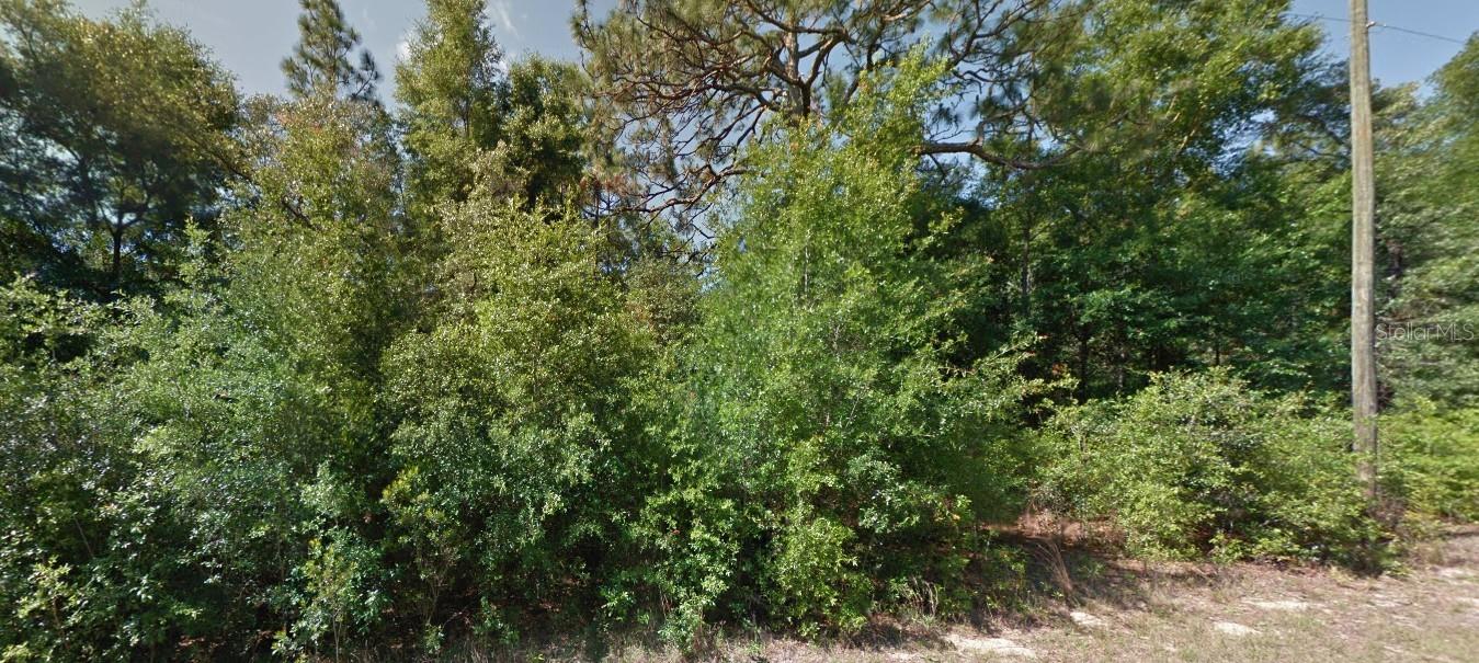 Build your dream home or invest in Florida’s beautiful Nature Coast with this prime vacant lot located at 1952 W Beach Plum Dr in Citrus Springs. This .23-acre parcel sits on a paved road in a peaceful and well-established neighborhood, offering a level and buildable homesite with electric nearby and no HOA fees. The lot is zoned for single-family residential use, making it ideal for future homeowners, custom builders, or investors looking for long-term value.
Citrus Springs is a hidden gem in Citrus County, known for its quiet, deed-restricted communities surrounded by natural beauty and abundant outdoor recreation. The property is just minutes from the scenic Withlacoochee State Trail, a 46-mile paved path perfect for biking, jogging, and walking, and Rainbow Springs State Park, where you can swim, kayak, or simply enjoy the crystal-clear waters. Boating and fishing enthusiasts will appreciate the quick access to the Gulf of Mexico via nearby Crystal River and Homosassa, while golfers can take advantage of courses like the Citrus Springs Golf & Country Club just down the road. The area also offers convenient access to schools, medical facilities, shopping, and dining in Dunnellon, Crystal River, and Inverness.
Whether you're ready to build now or plan for the future, this homesite combines natural charm with proximity to modern amenities—making it a smart and appealing choice in one of Florida's most desirable up-and-coming communities.