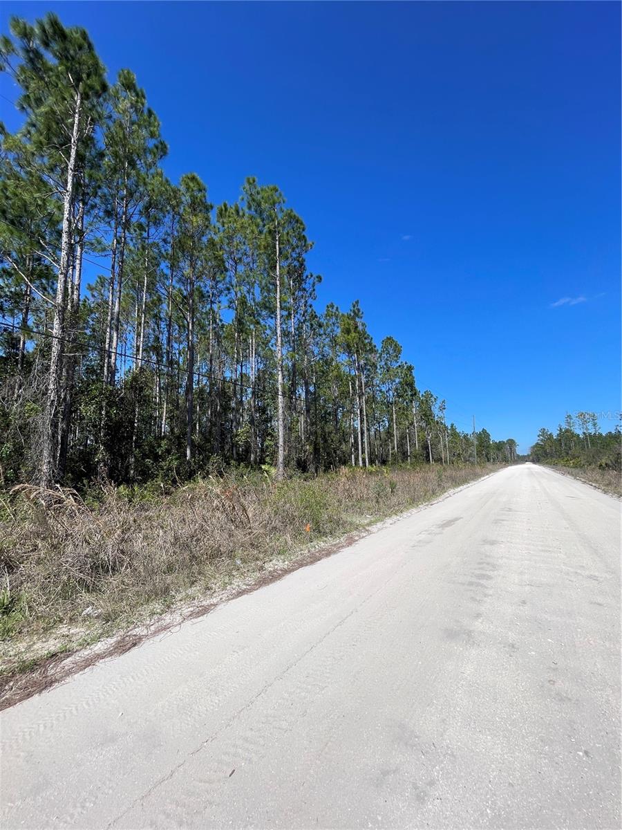 CHESSER HAMMOCK ROAD
