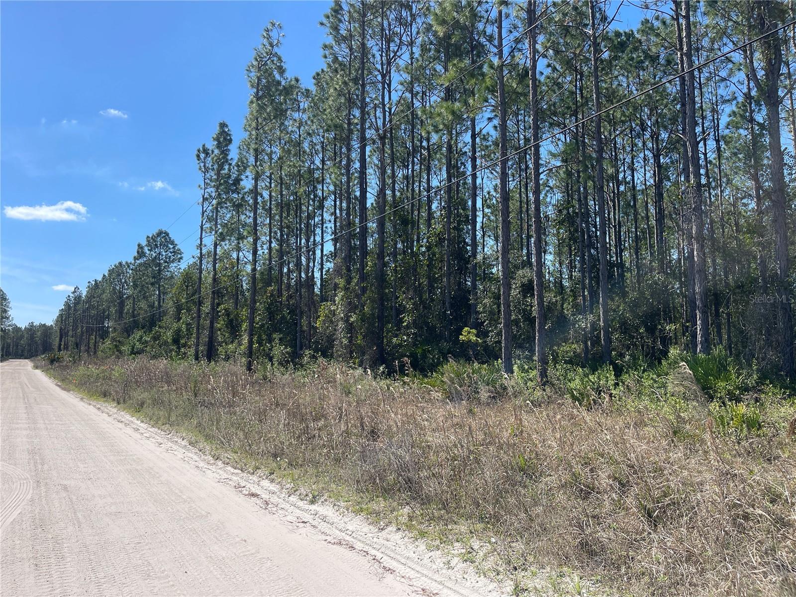 CHESSER HAMMOCK ROAD