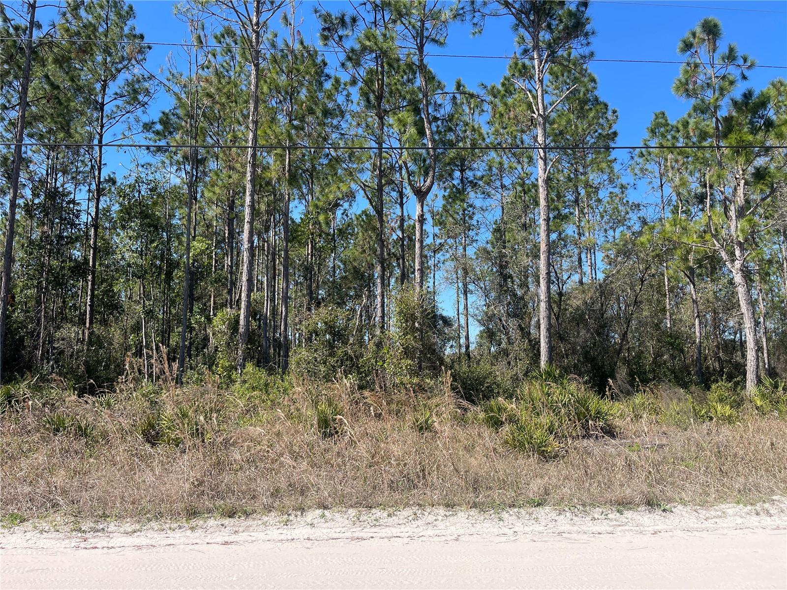 CHESSER HAMMOCK ROAD