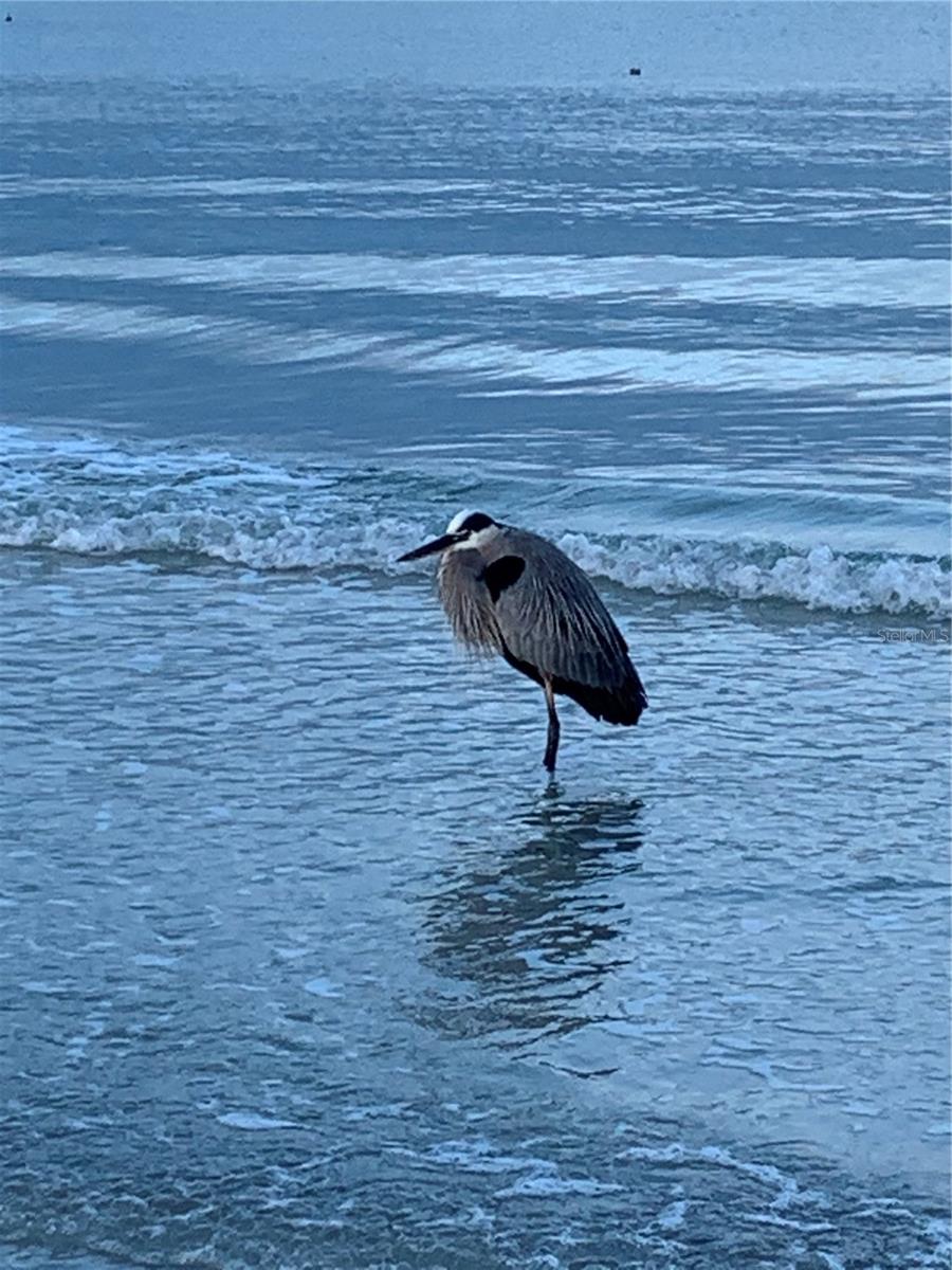 HARBOUR CLUB NO 3 - Residential