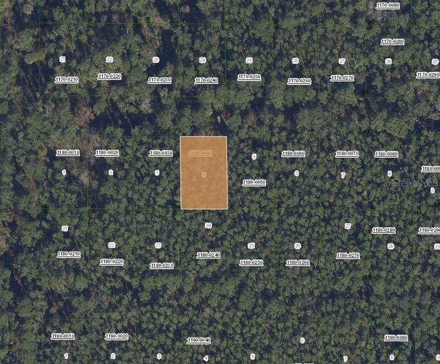 Owner financing considered! Rare opportunity to own a 0.23-acre vacant lot in Georgetown, FL! This residential lot is zoned R-2, allowing for single-family homes, tiny homes, barndominiums or mobile homes. Located in a quiet area, the property offers privacy and flexibility for your dream home or investment. Conveniently situated near local amenities, schools, and major roadways, this lot is perfect for building the home you’ve always wanted. The seller owns multiple properties throughout Putnam County and is willing to sell as a package deal, offering additional investment or development opportunities.