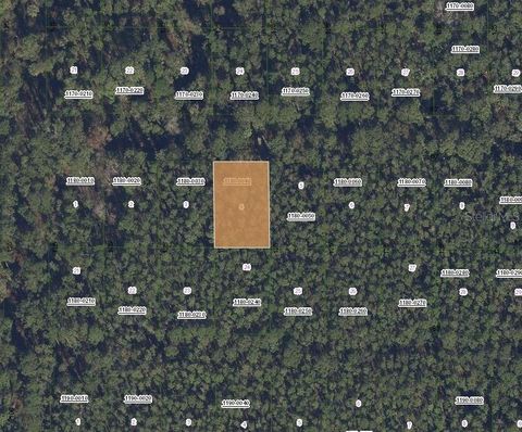307 TROPICAL DRIVE GEORGETOWN FL 32139