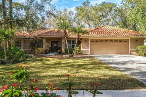 1362 E LAKE WOODLANDS PARKWAY OLDSMAR FL 34677
