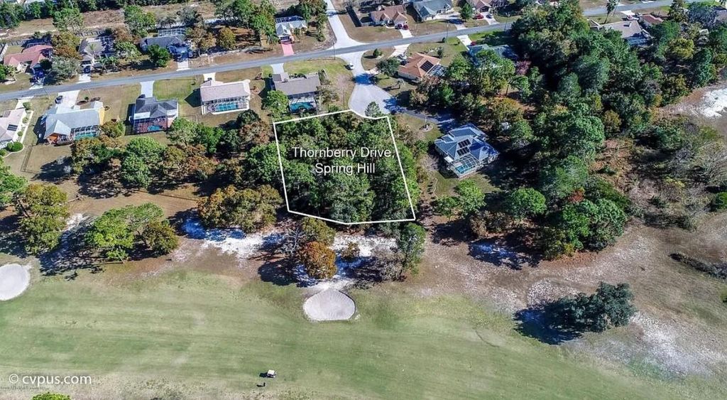 Photo of 10315 Thornberry Drive, Spring Hill, FL 34608 (MLS # S5133871)